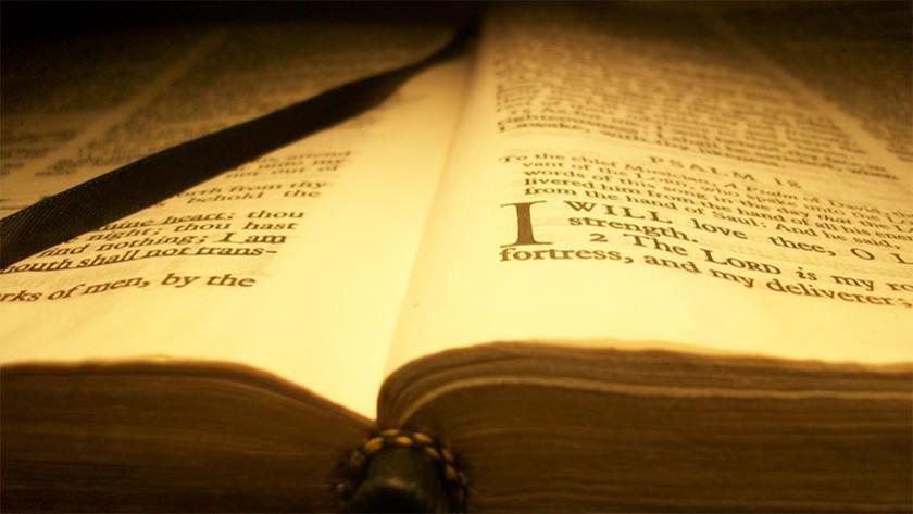 the-new-living-translation-bible-tiptopmashable-au-news-you